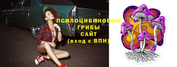 спиды Аркадак