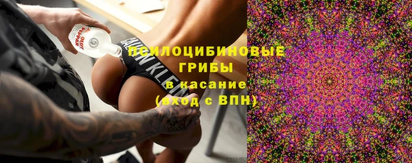 спиды Аркадак