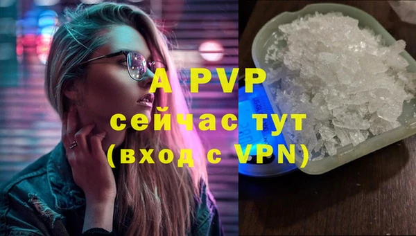 спиды Аркадак