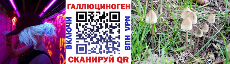 Псилоцибиновые грибы прущие грибы Баймак